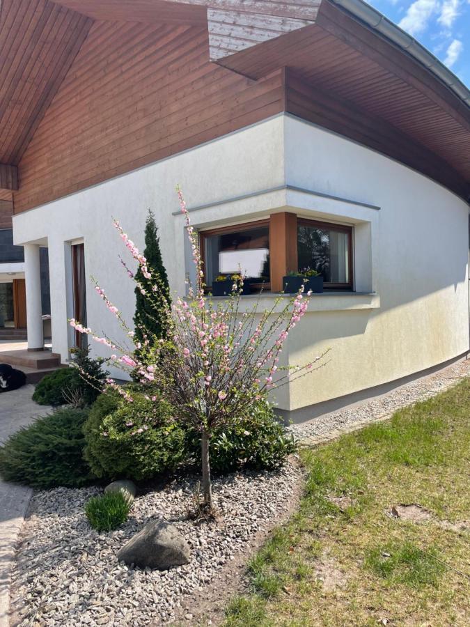 Apartament Przy Lesie Chojno-Blota Wielkie Eksteriør billede