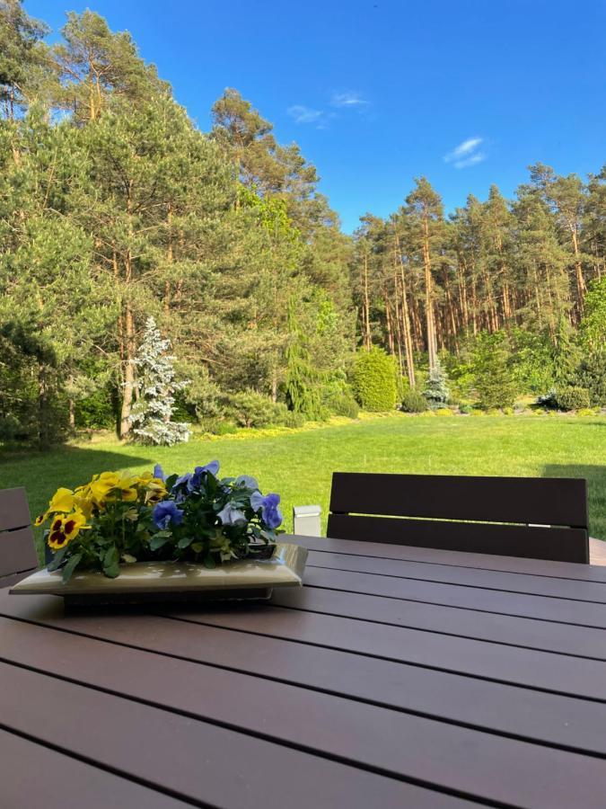 Apartament Przy Lesie Chojno-Blota Wielkie Eksteriør billede